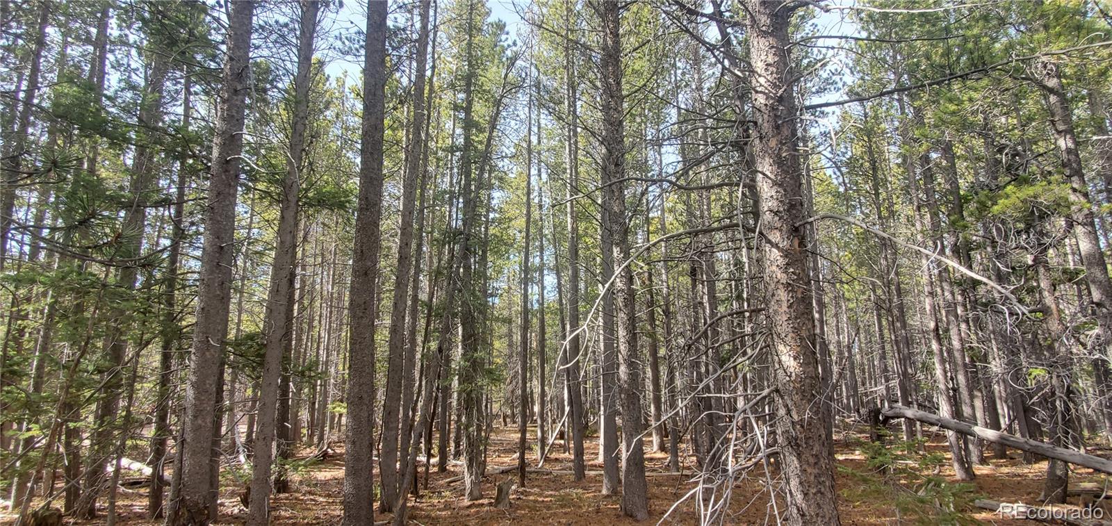 Lot 3246 Zipf Lane Fort Garland CO 81133