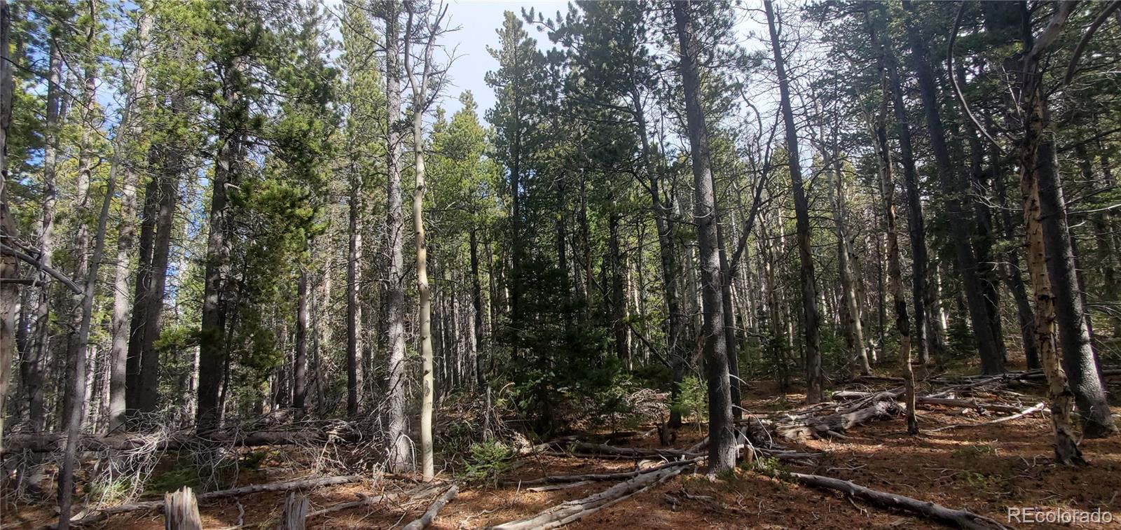 Lot 3246 Zipf Lane Fort Garland CO 81133