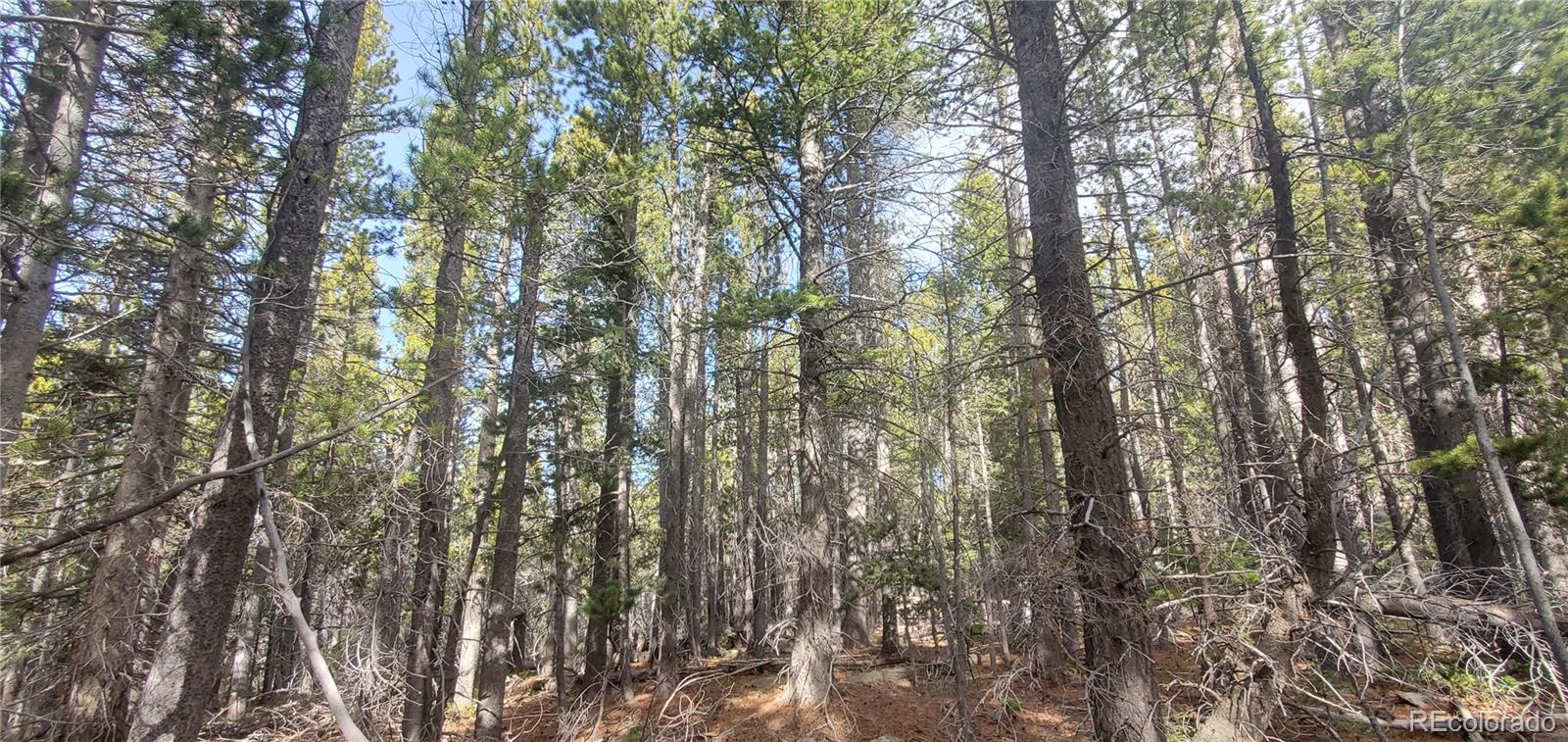 Lot 3246 Zipf Lane Fort Garland CO 81133