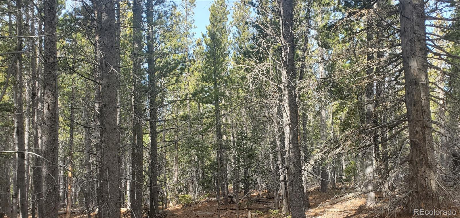 Lot 3246 Zipf Lane Fort Garland CO 81133