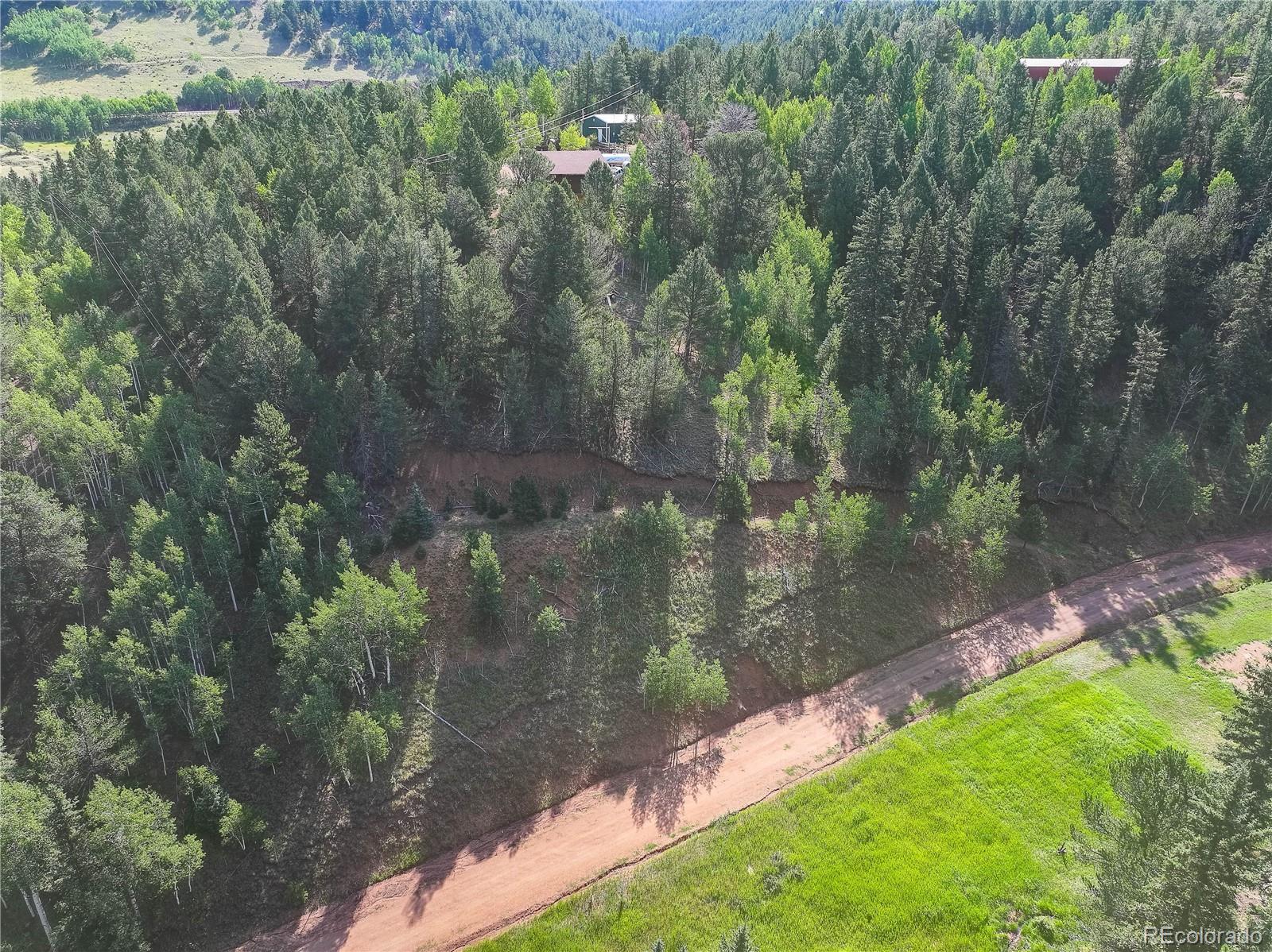 490 Willow Road Divide CO 80814