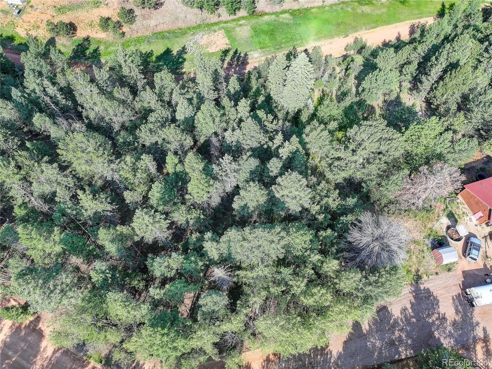 490 Willow Road Divide CO 80814