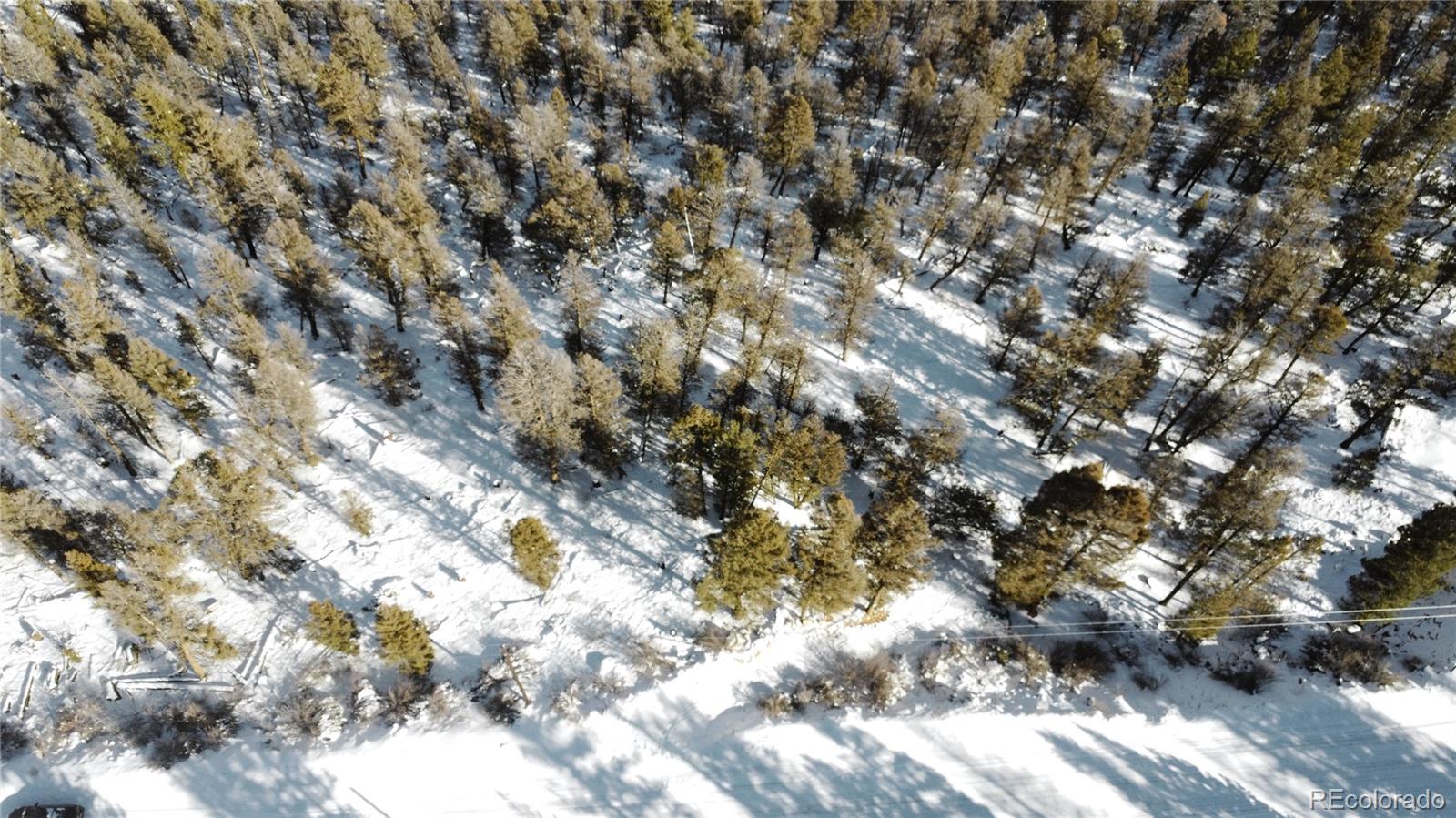 1348 Middle Fork Vista Fairplay CO 80440
