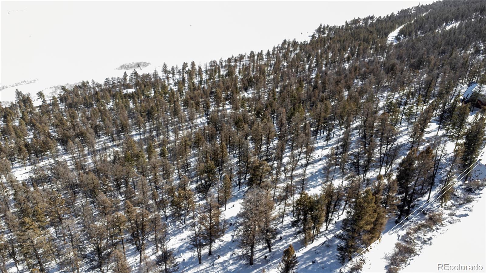 1348 Middle Fork Vista Fairplay CO 80440
