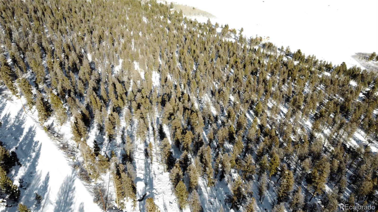 1348 Middle Fork Vista Fairplay CO 80440