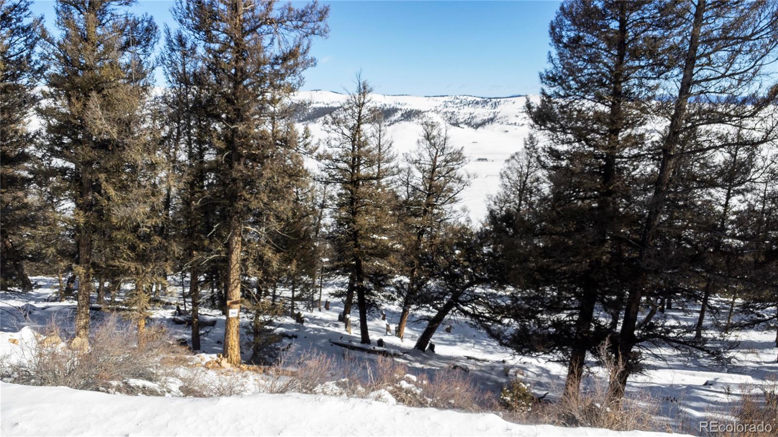 1348 Middle Fork Vista Fairplay CO 80440