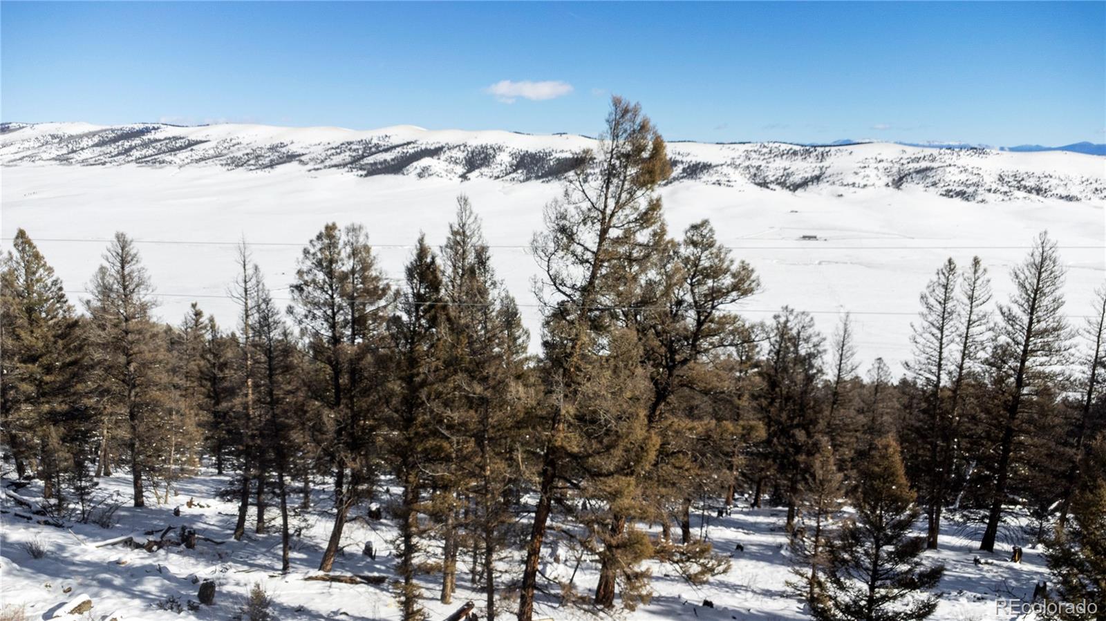 1348 Middle Fork Vista Fairplay CO 80440