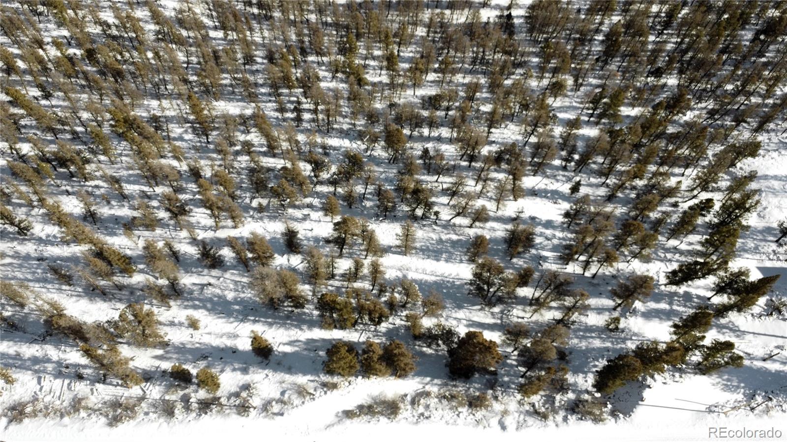 1348 Middle Fork Vista Fairplay CO 80440