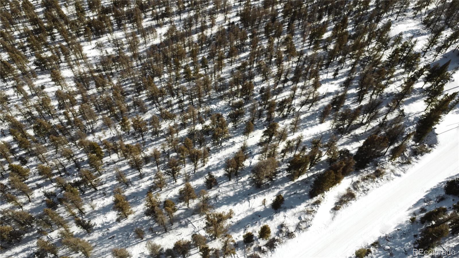 1348 Middle Fork Vista Fairplay CO 80440