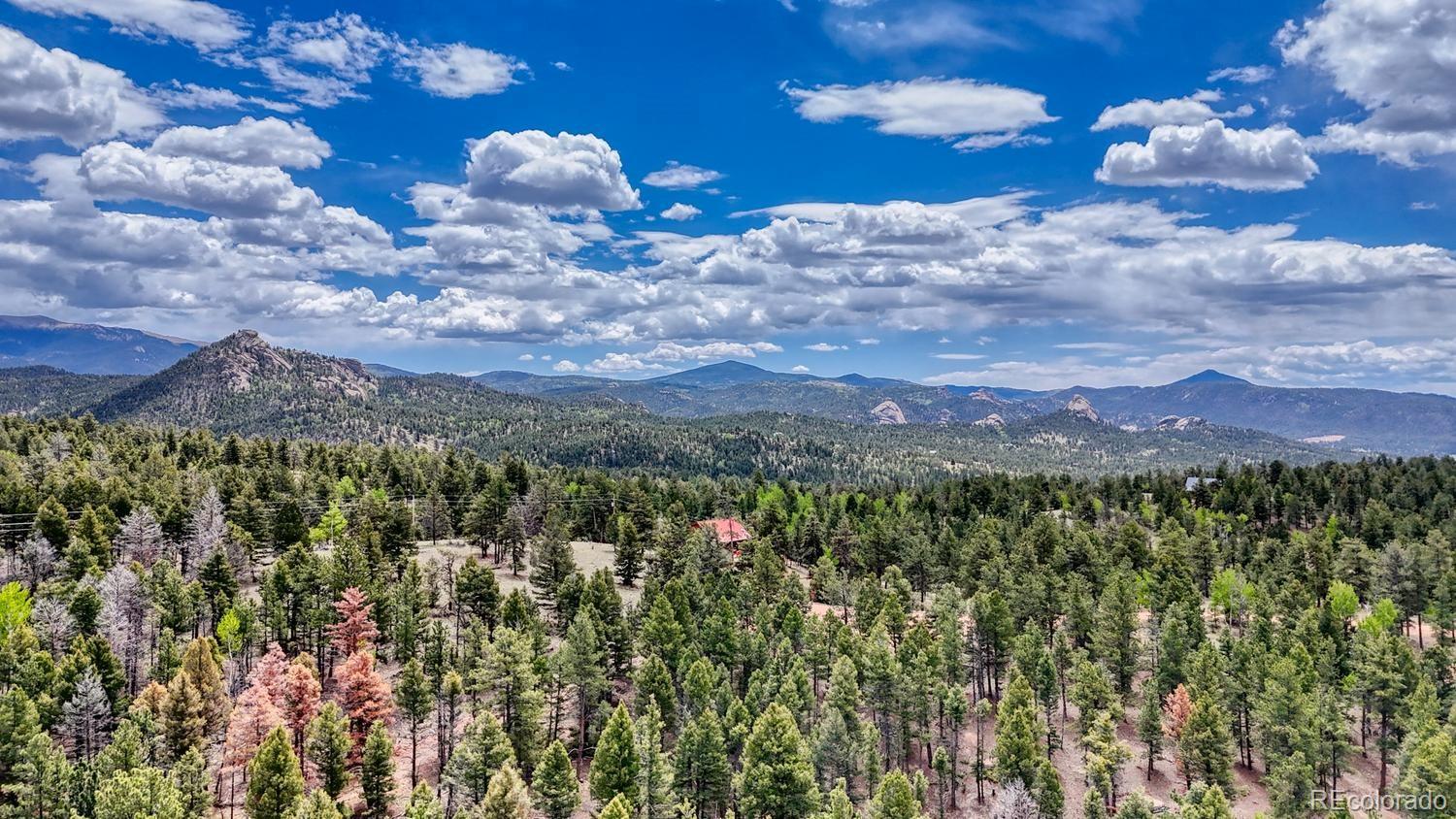 42 Rabbit Circle Florissant CO 80816