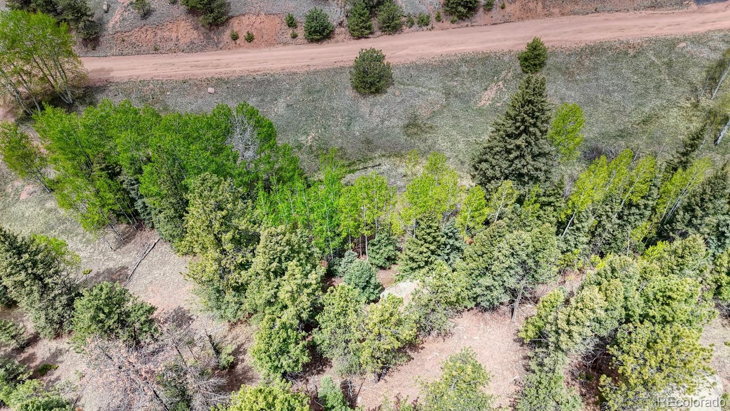 42 Rabbit Circle Florissant CO 80816