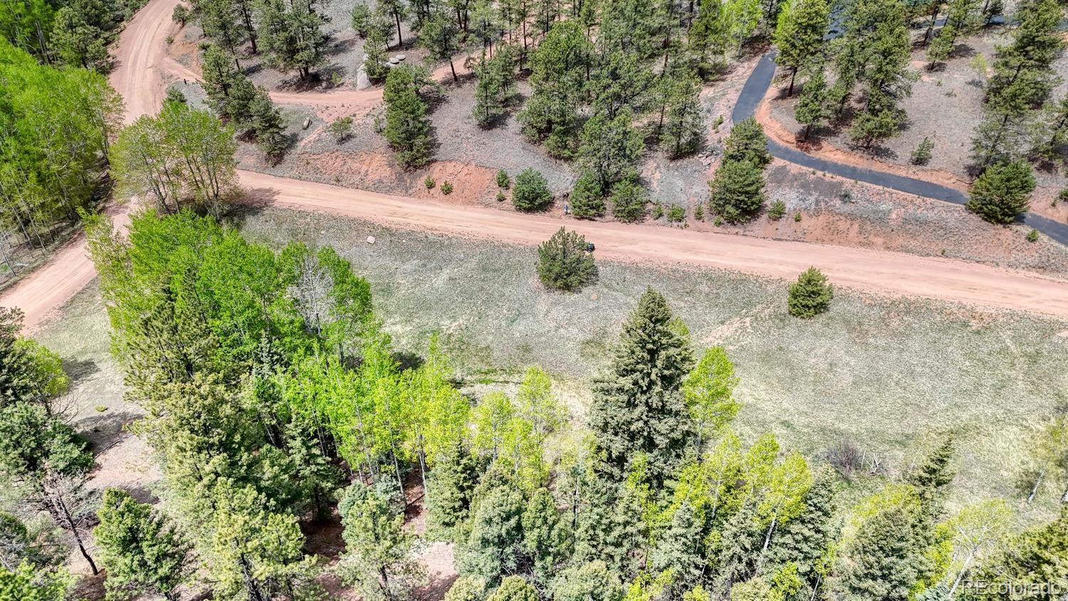 42 Rabbit Circle Florissant CO 80816