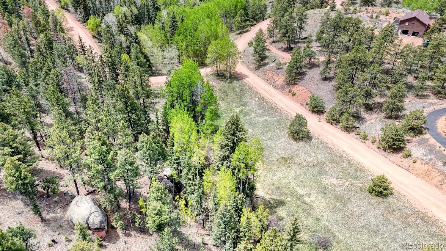 42 Rabbit Circle Florissant CO 80816