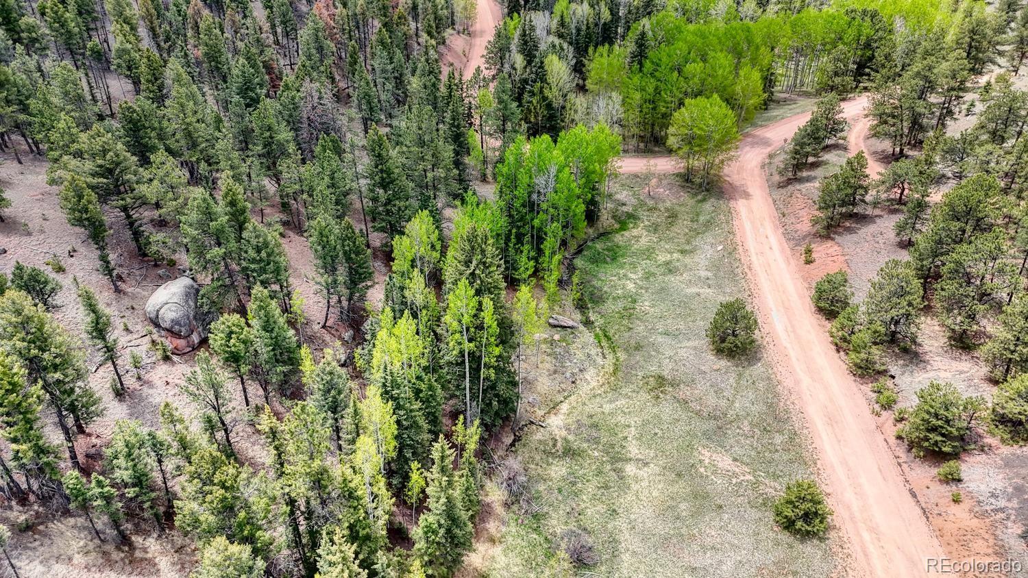 42 Rabbit Circle Florissant CO 80816