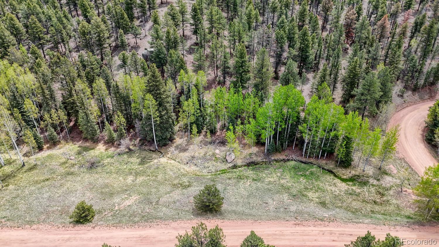 42 Rabbit Circle Florissant CO 80816