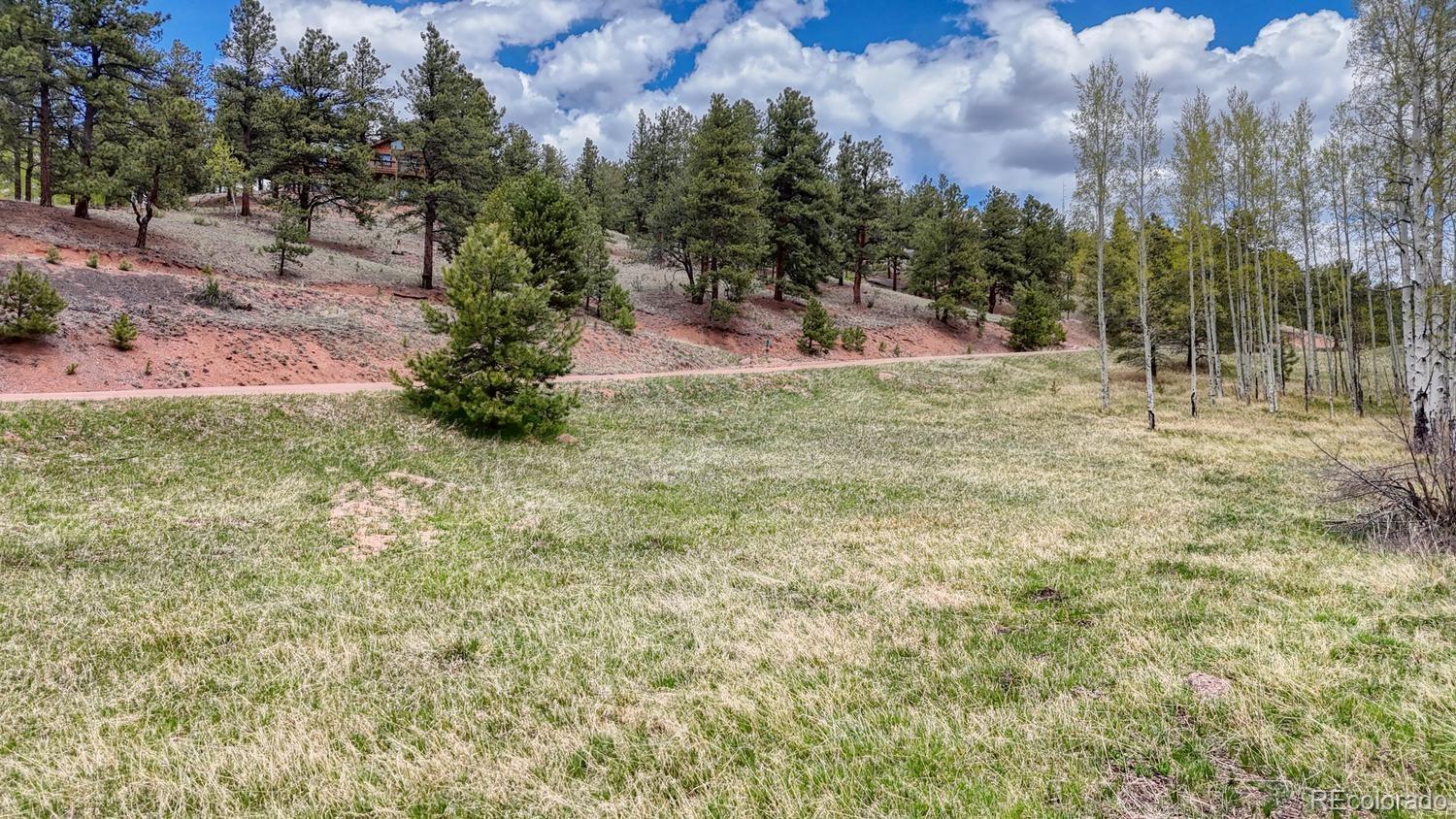 42 Rabbit Circle Florissant CO 80816