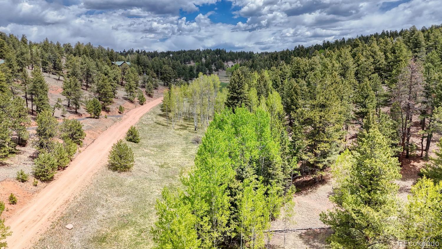 42 Rabbit Circle Florissant CO 80816