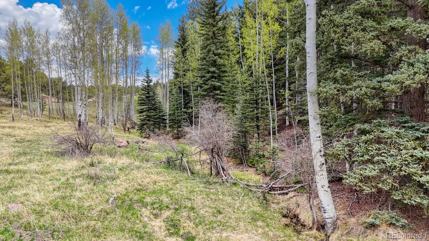42 Rabbit Circle Florissant CO 80816