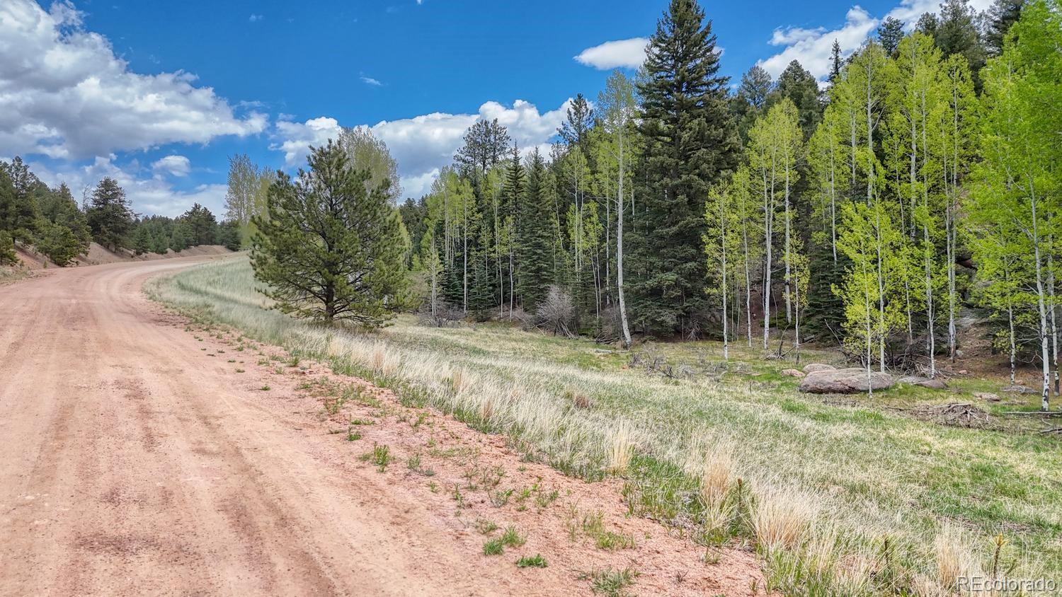 42 Rabbit Circle Florissant CO 80816