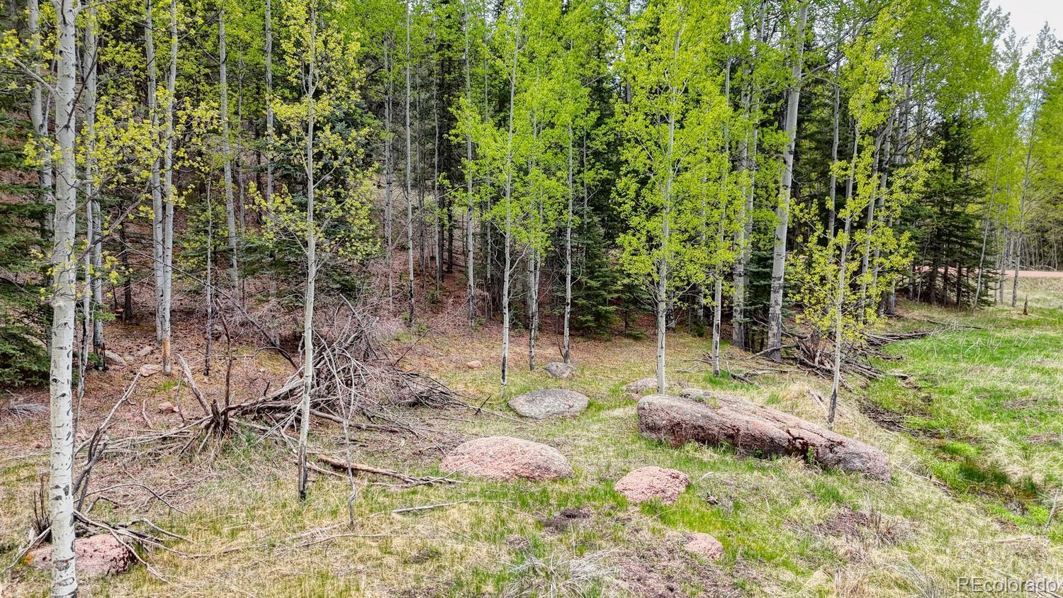 42 Rabbit Circle Florissant CO 80816