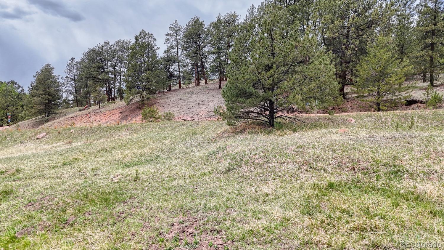 42 Rabbit Circle Florissant CO 80816