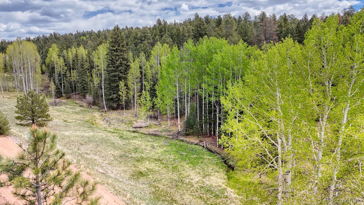 42 Rabbit Circle Florissant CO 80816