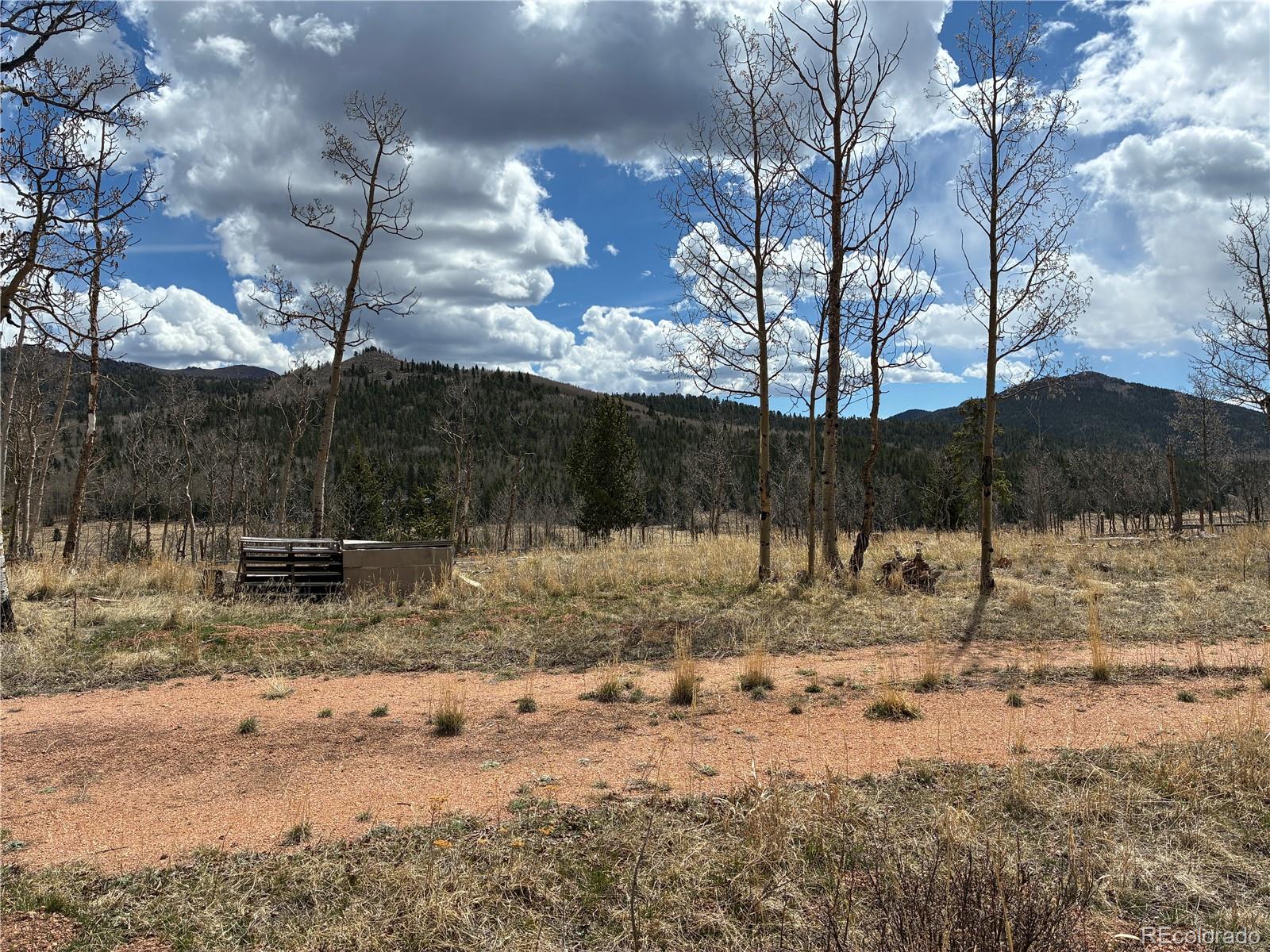 12201 S State Highway 67 Cripple Creek CO 80813