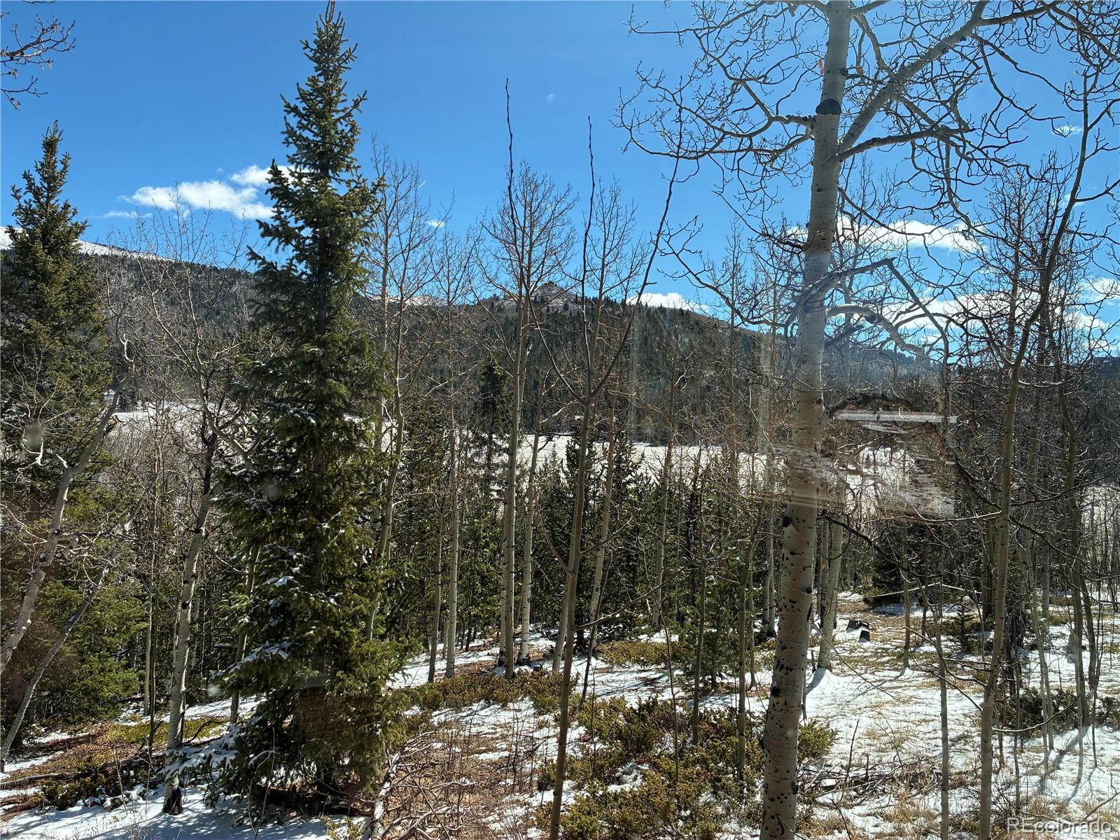 12201 S State Highway 67 Cripple Creek CO 80813