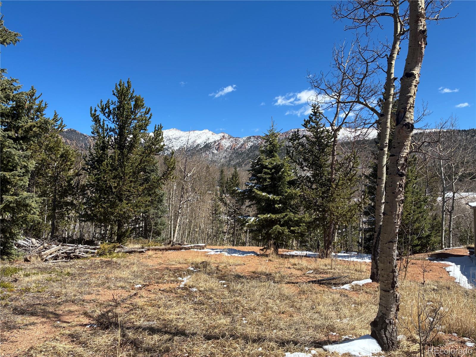 12201 S State Highway 67 Cripple Creek CO 80813