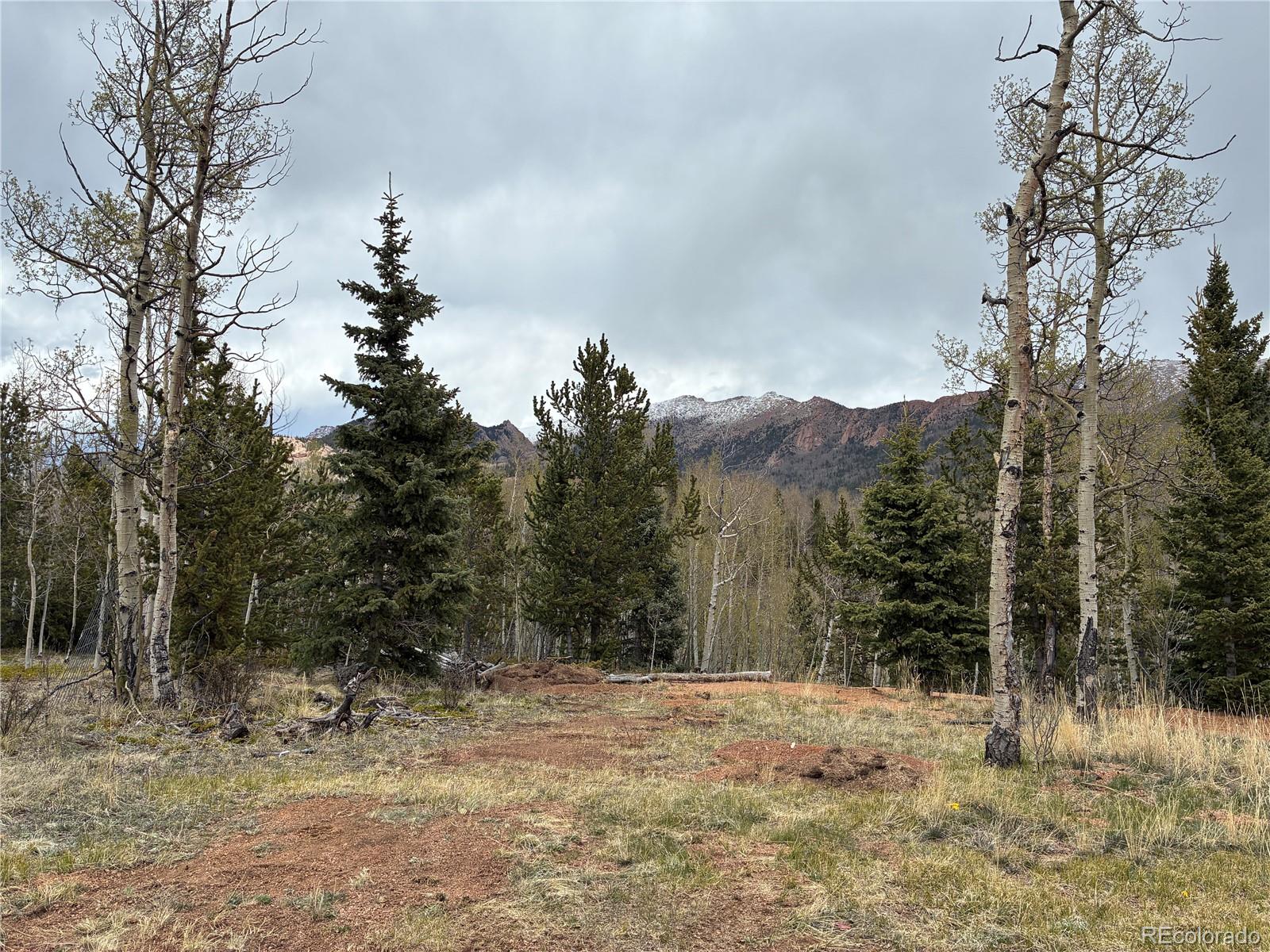 12201 S State Highway 67 Cripple Creek CO 80813
