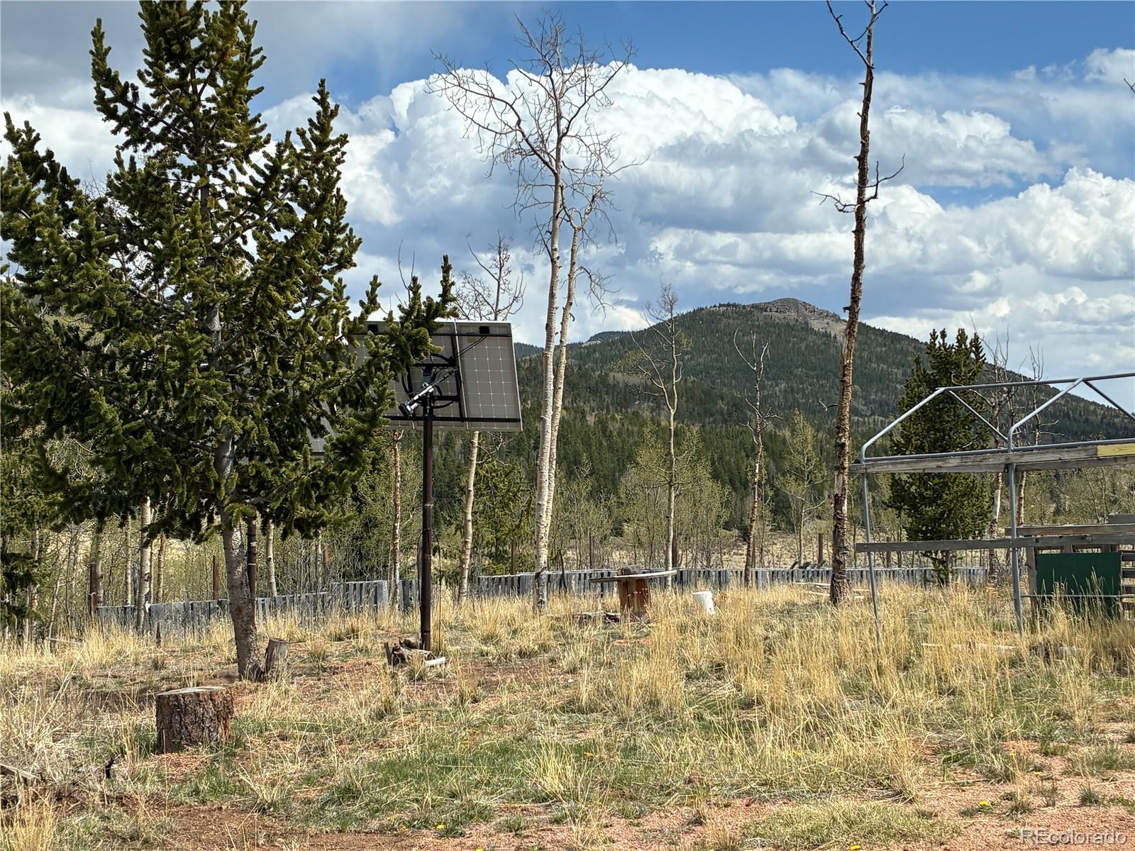 12201 S State Highway 67 Cripple Creek CO 80813