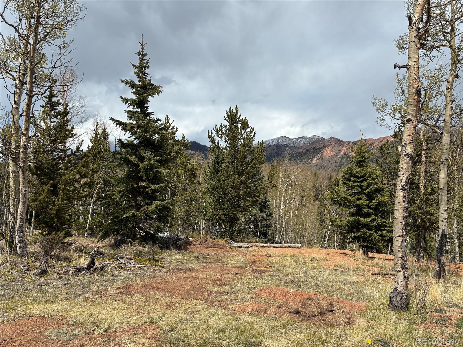 12201 S State Highway 67 Cripple Creek CO 80813