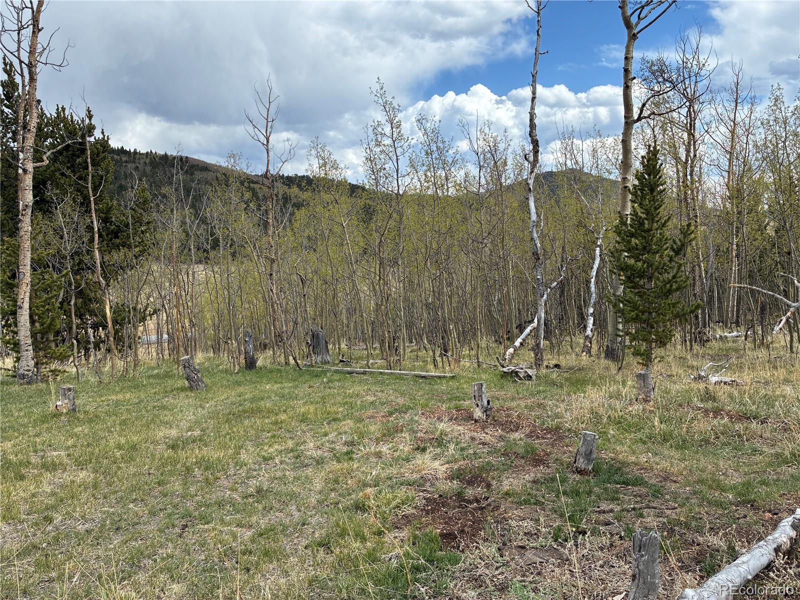 12201 S State Highway 67 Cripple Creek CO 80813