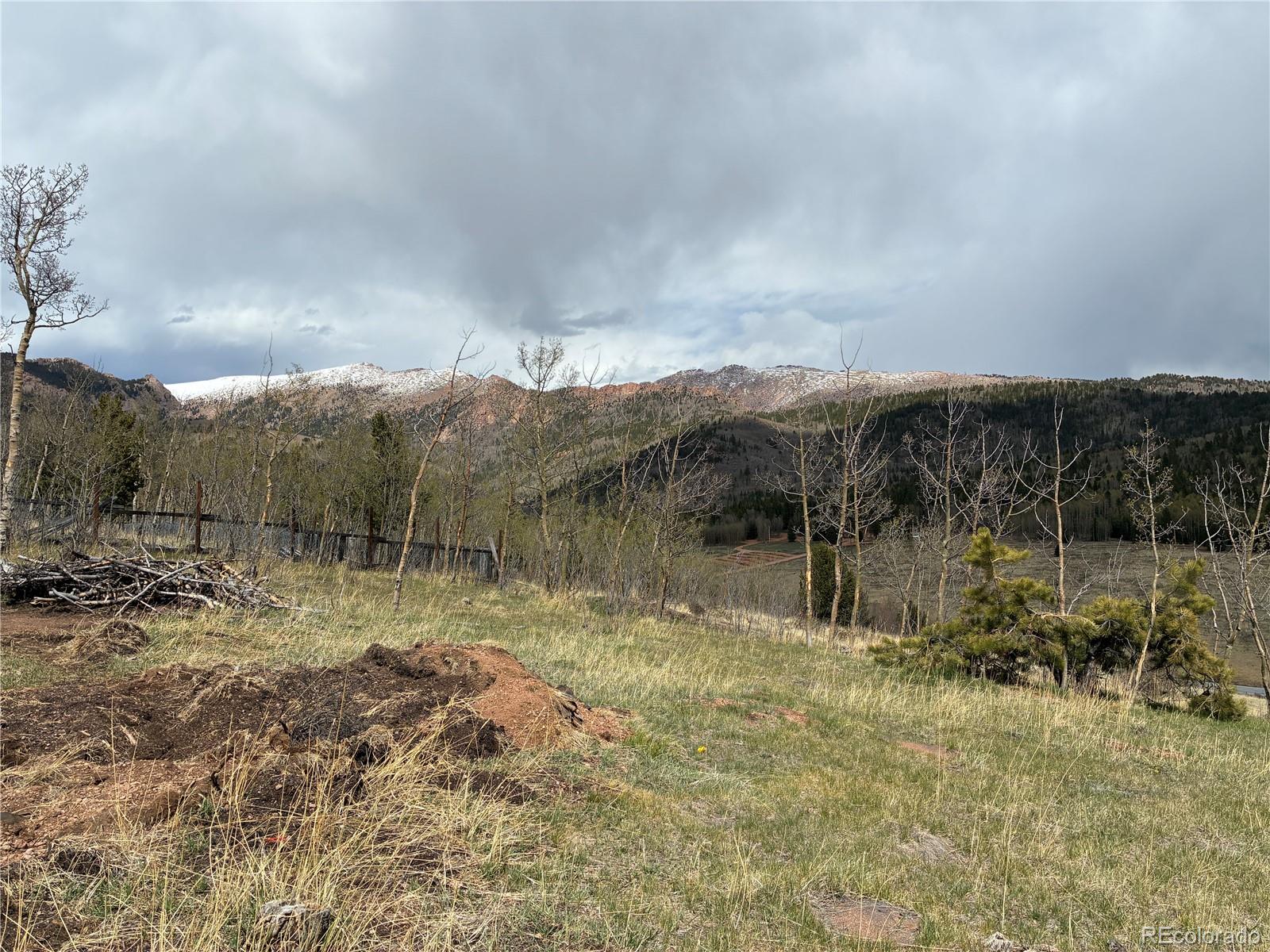 12201 S State Highway 67 Cripple Creek CO 80813