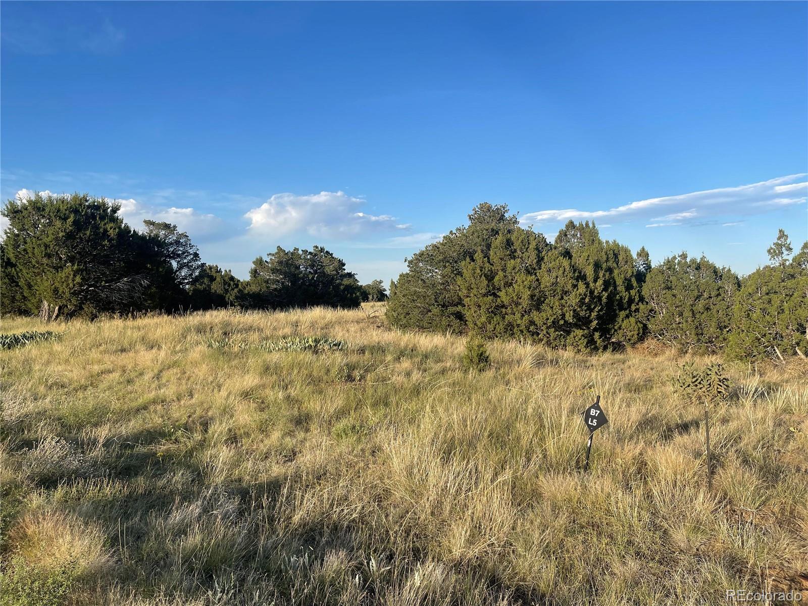 L6 B7 Rocky Mountain Drive Walsenburg CO 81089
