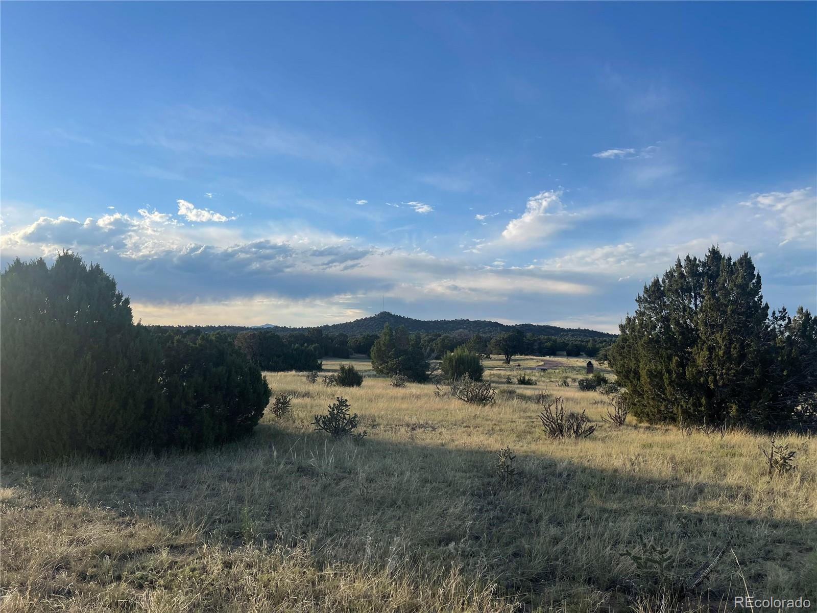 L6 B7 Rocky Mountain Drive Walsenburg CO 81089