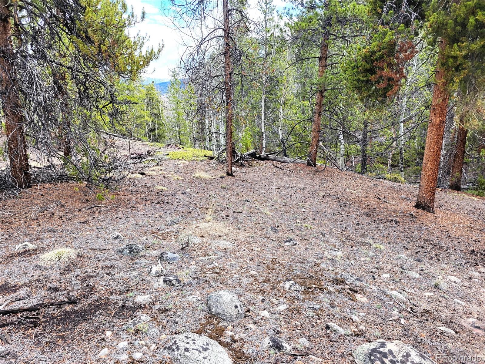 Edward E. Hill Lot 6 Drive Twin Lakes CO 81251
