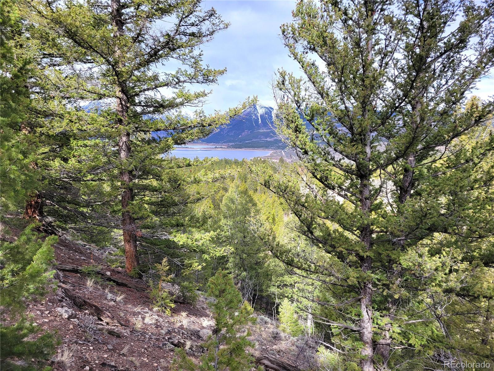 Edward E. Hill Lot 6 Drive Twin Lakes CO 81251