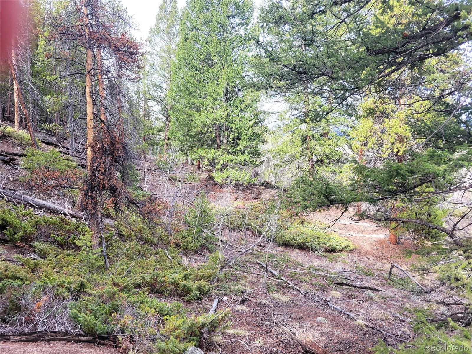 Edward E. Hill Lot 6 Drive Twin Lakes CO 81251