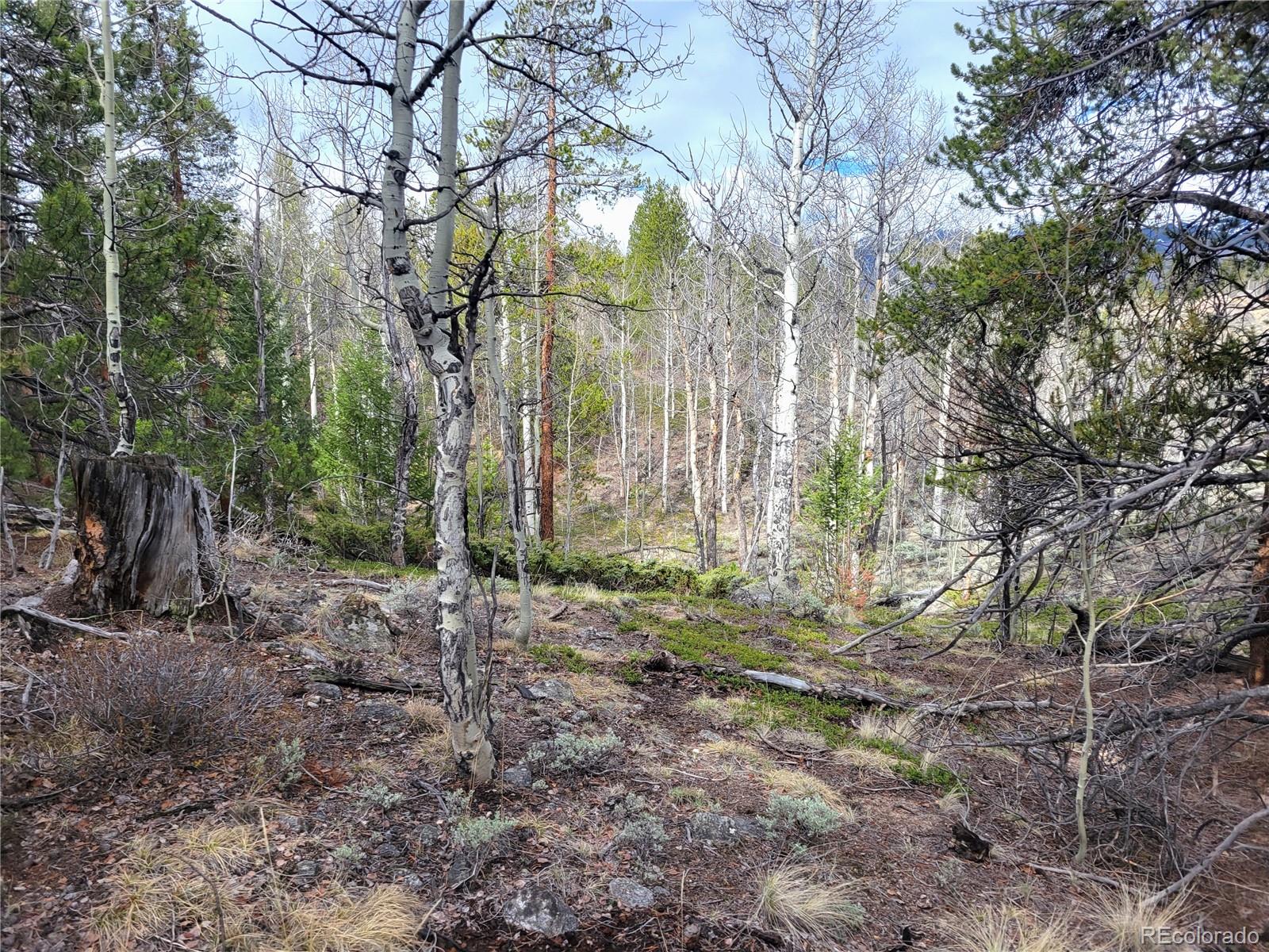Edward E. Hill Lot 6 Drive Twin Lakes CO 81251