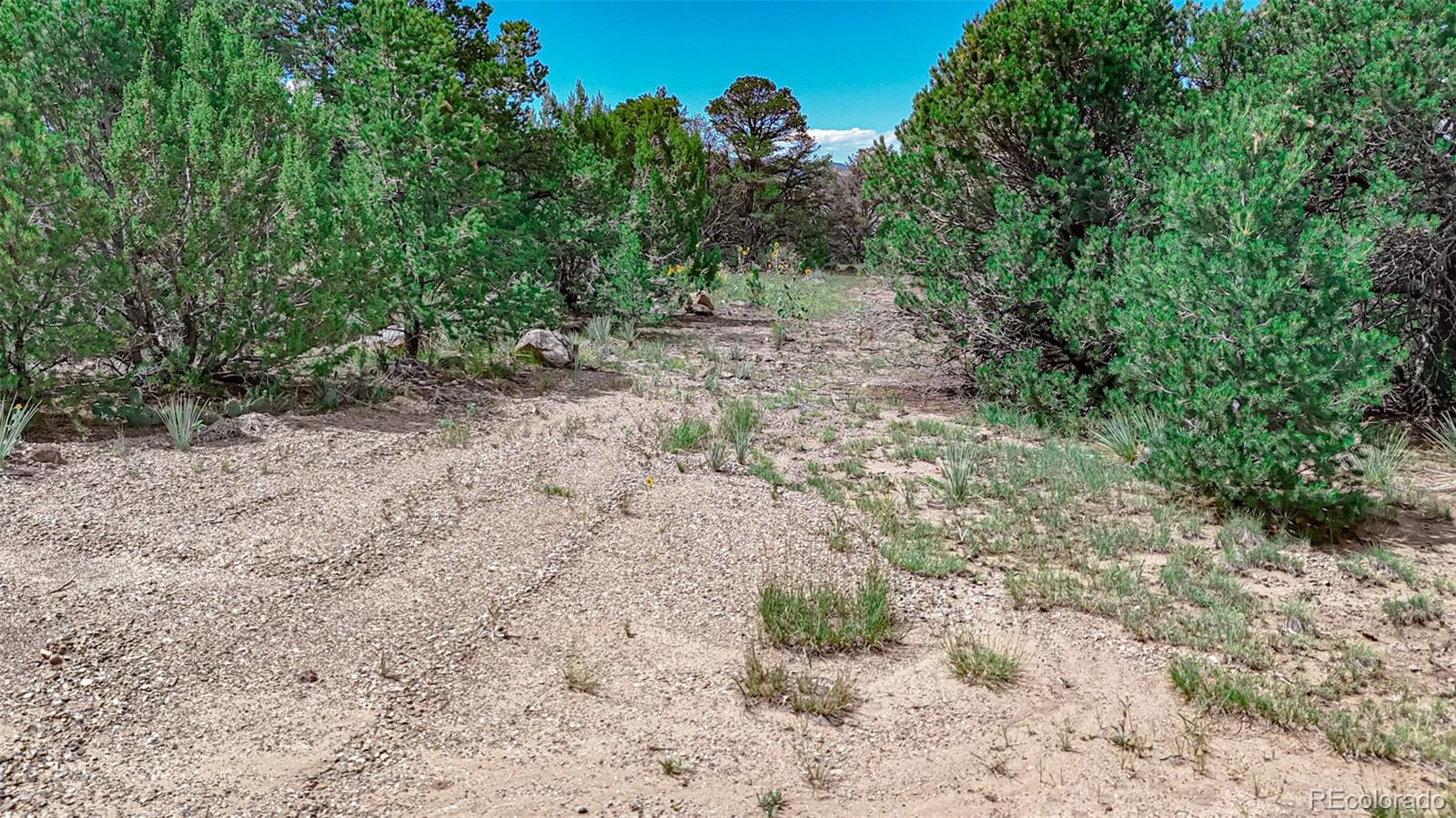 11771 Diamond View Road Trinidad CO 81082