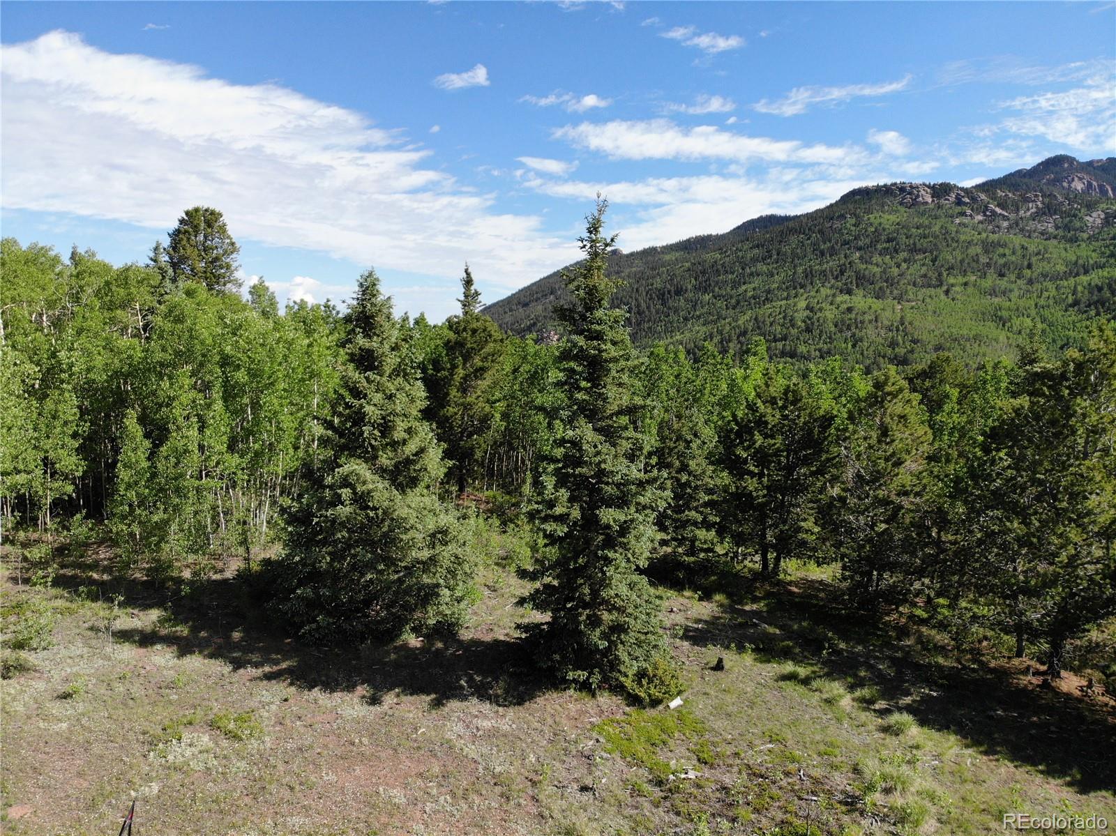 12775 S State Highway 67 Cripple Creek CO 80813