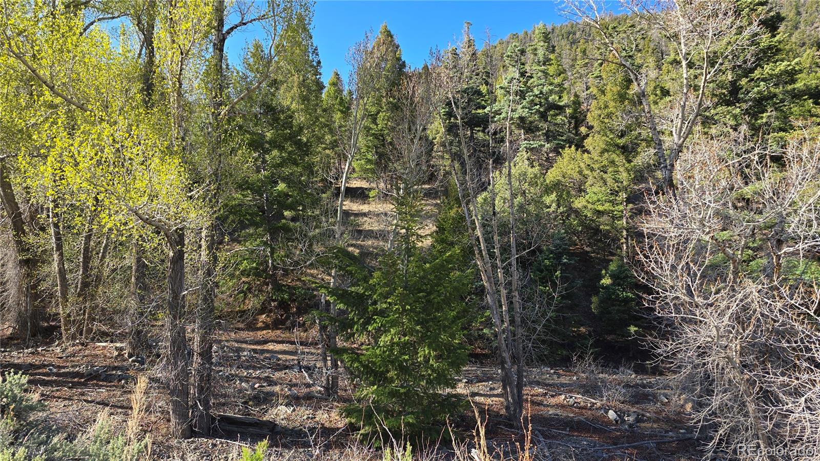 Lot 5475 Joy Road Fort Garland CO 81133