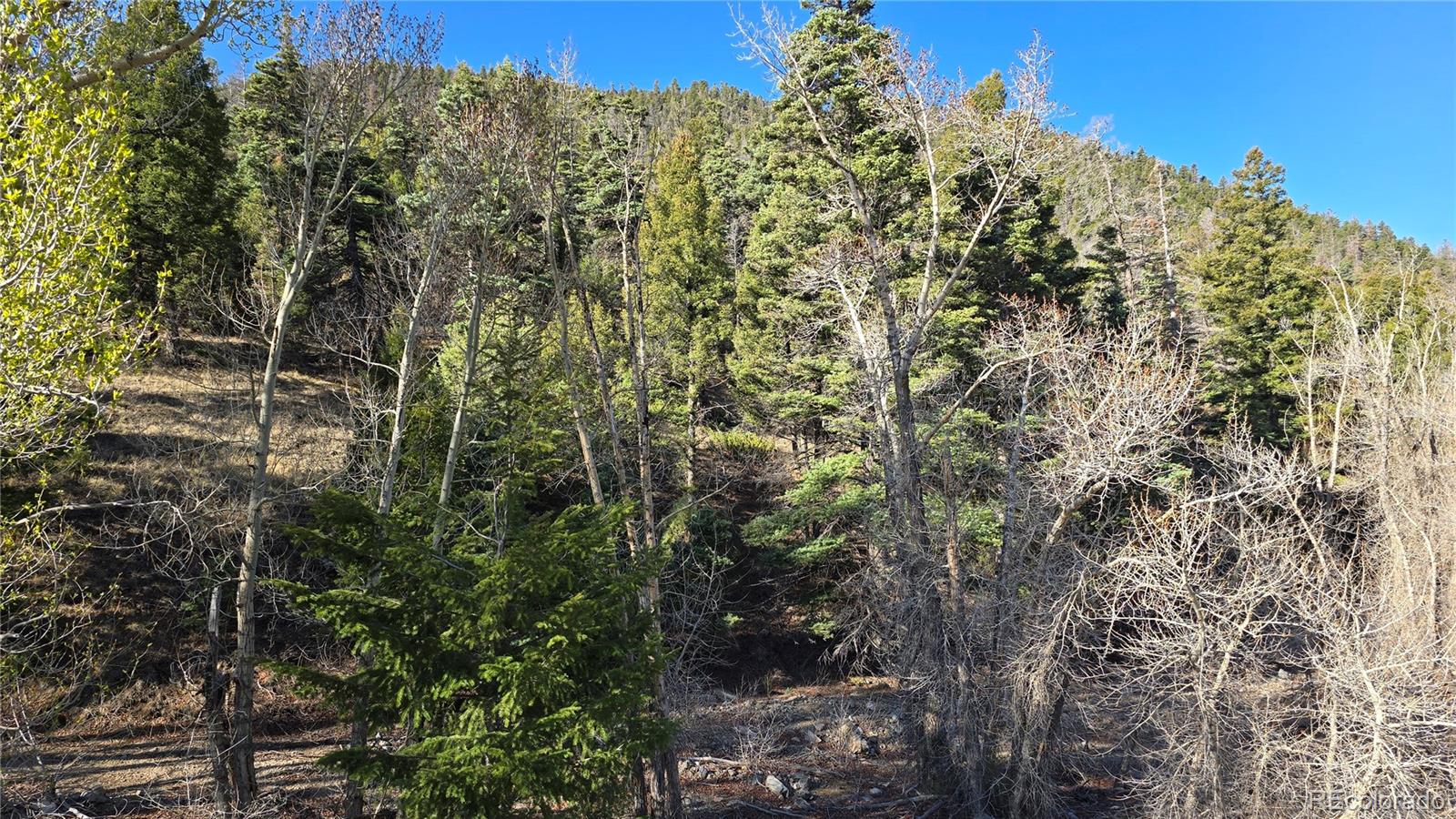 Lot 5475 Joy Road Fort Garland CO 81133