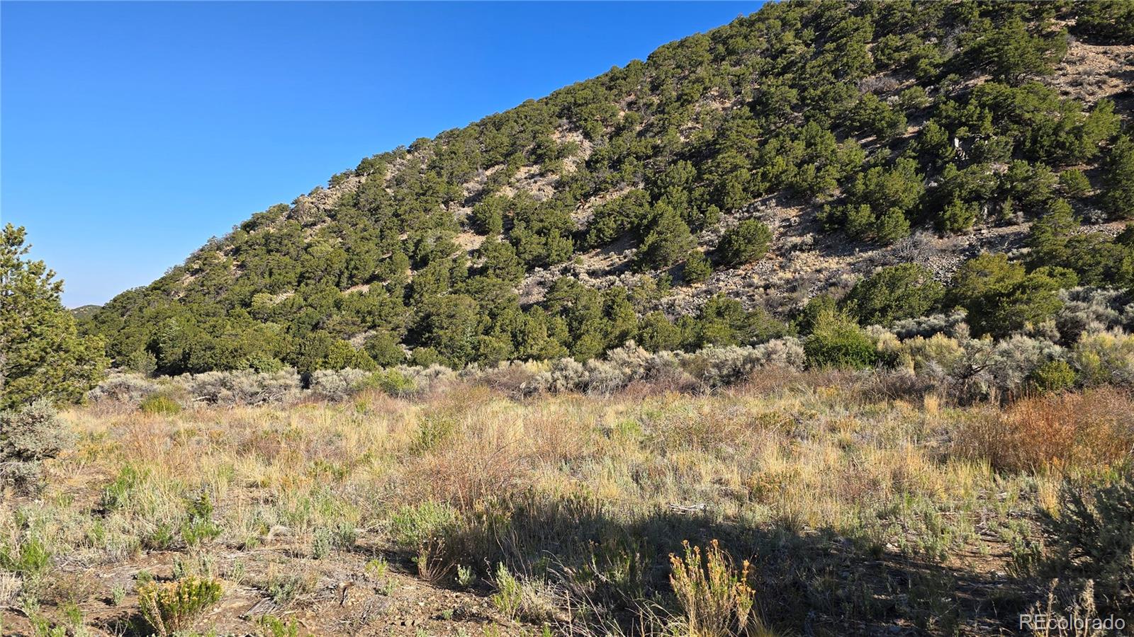 Lot 5475 Joy Road Fort Garland CO 81133