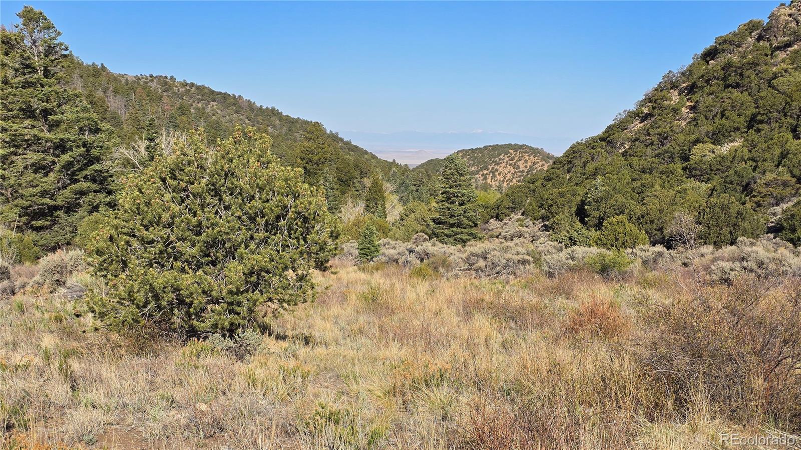 Lot 5475 Joy Road Fort Garland CO 81133