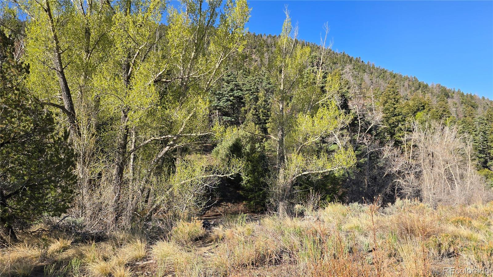 Lot 5475 Joy Road Fort Garland CO 81133