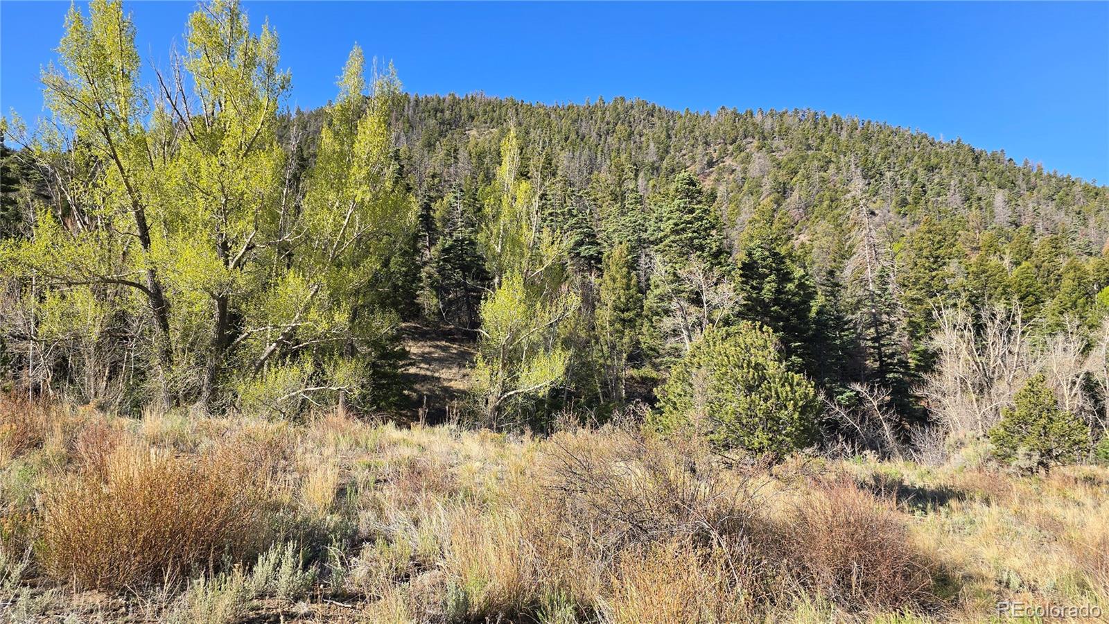 Lot 5475 Joy Road Fort Garland CO 81133