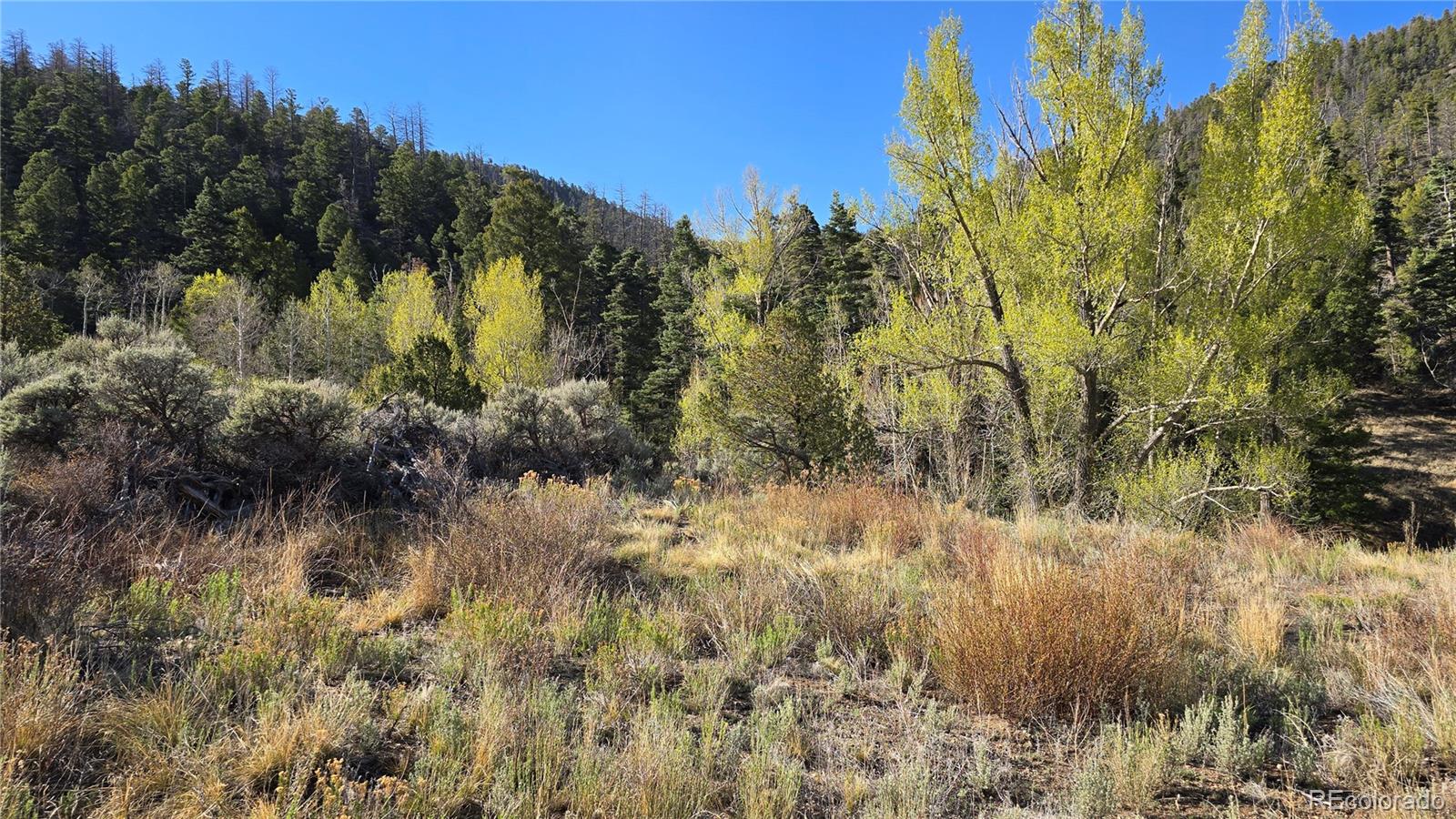 Lot 5475 Joy Road Fort Garland CO 81133