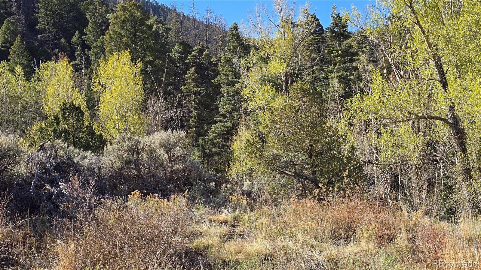 Lot 5475 Joy Road Fort Garland CO 81133